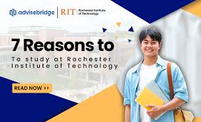 study at rit why?
